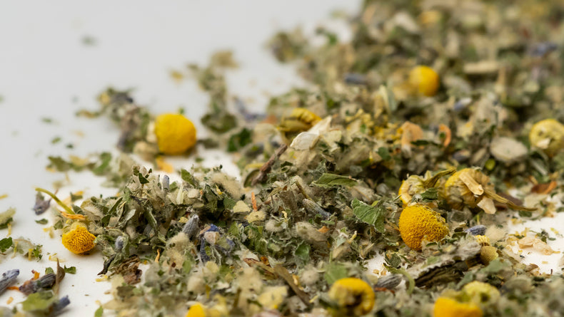 Hierba de San Juan: tradición y ciencia para el equilibrio emocional