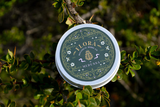 Siguiendo al sol,  los secretos de la caléndula