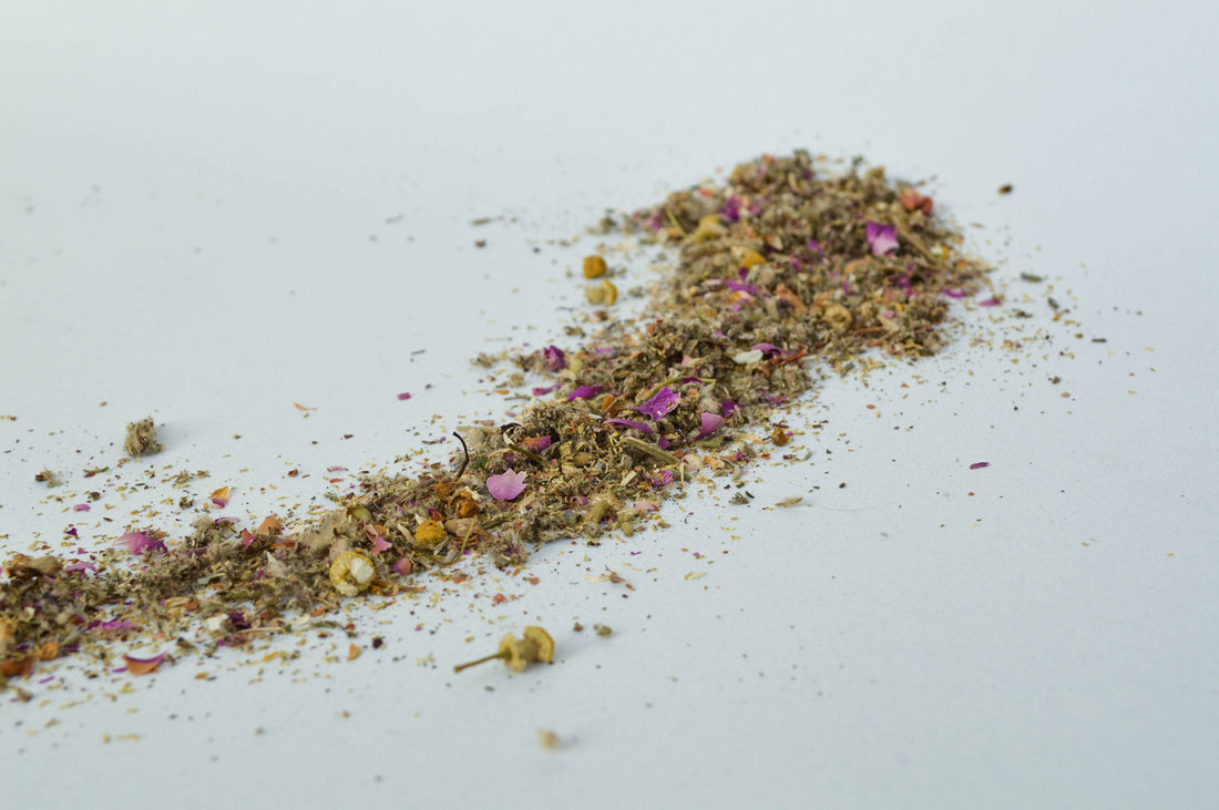 Anís, la ilusión hecha verdad