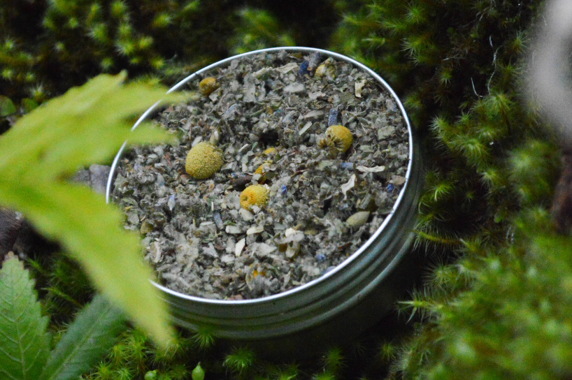 El lenguaje de las plantas