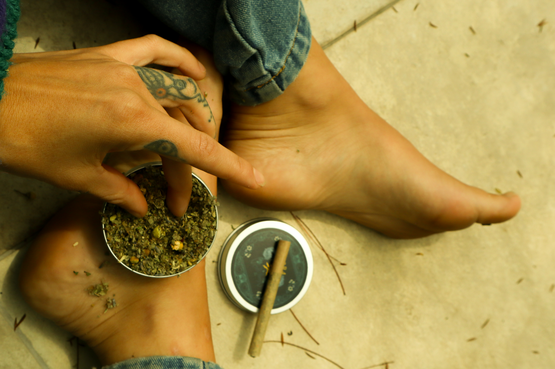 Adaptógenos, una puerta a la salud integral