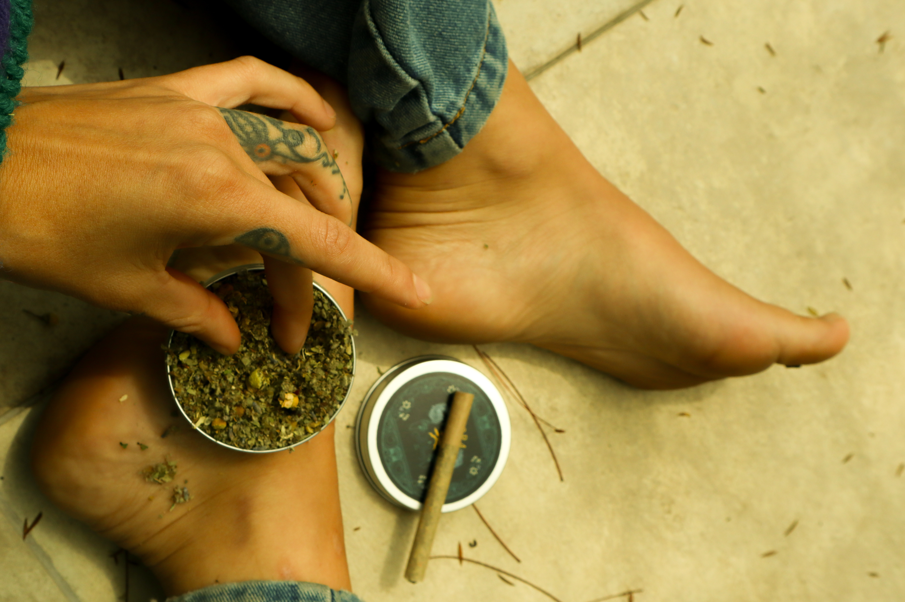 Adaptógenos, una puerta a la salud integral