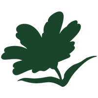 Ingredientes
herbales