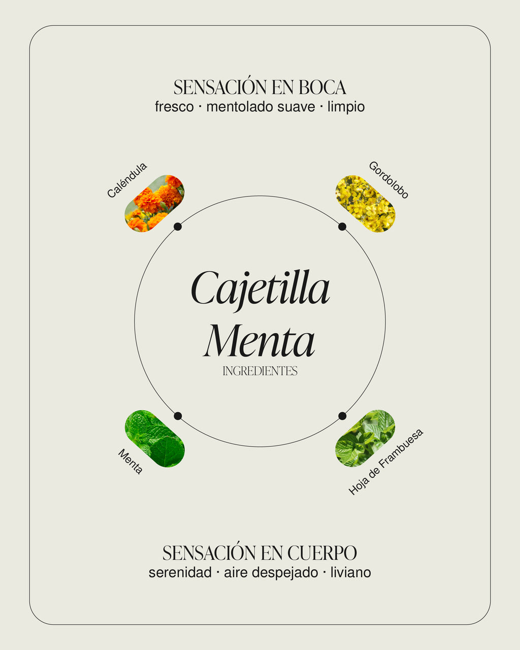 Cajetilla Menta