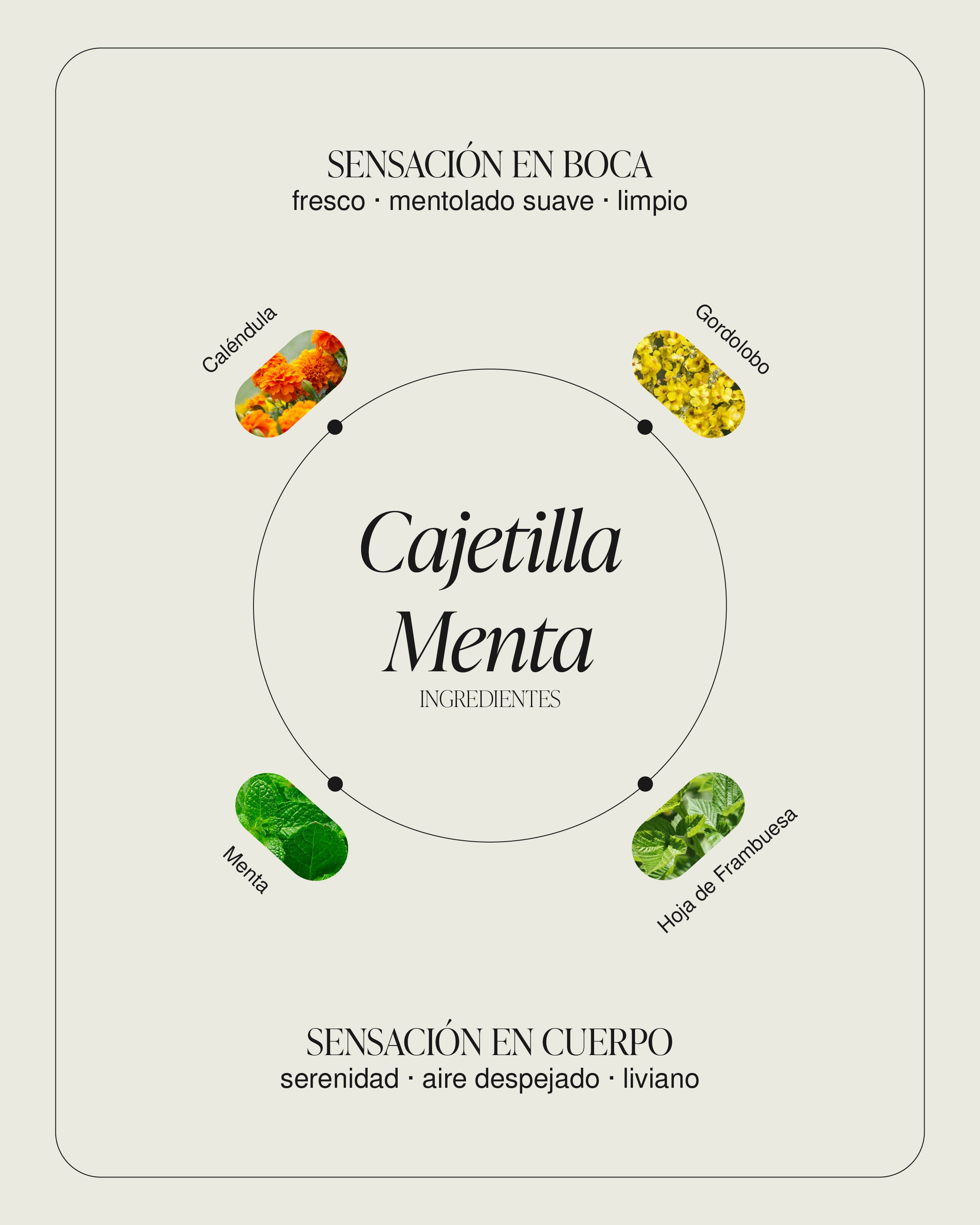 Cajetilla Menta