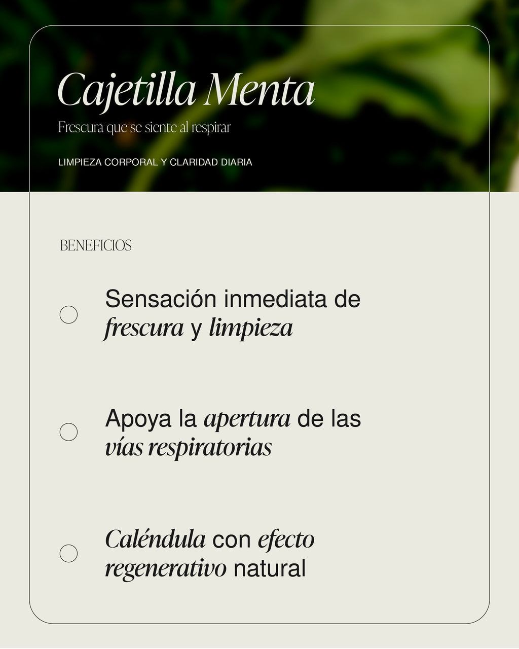 Cajetilla Menta