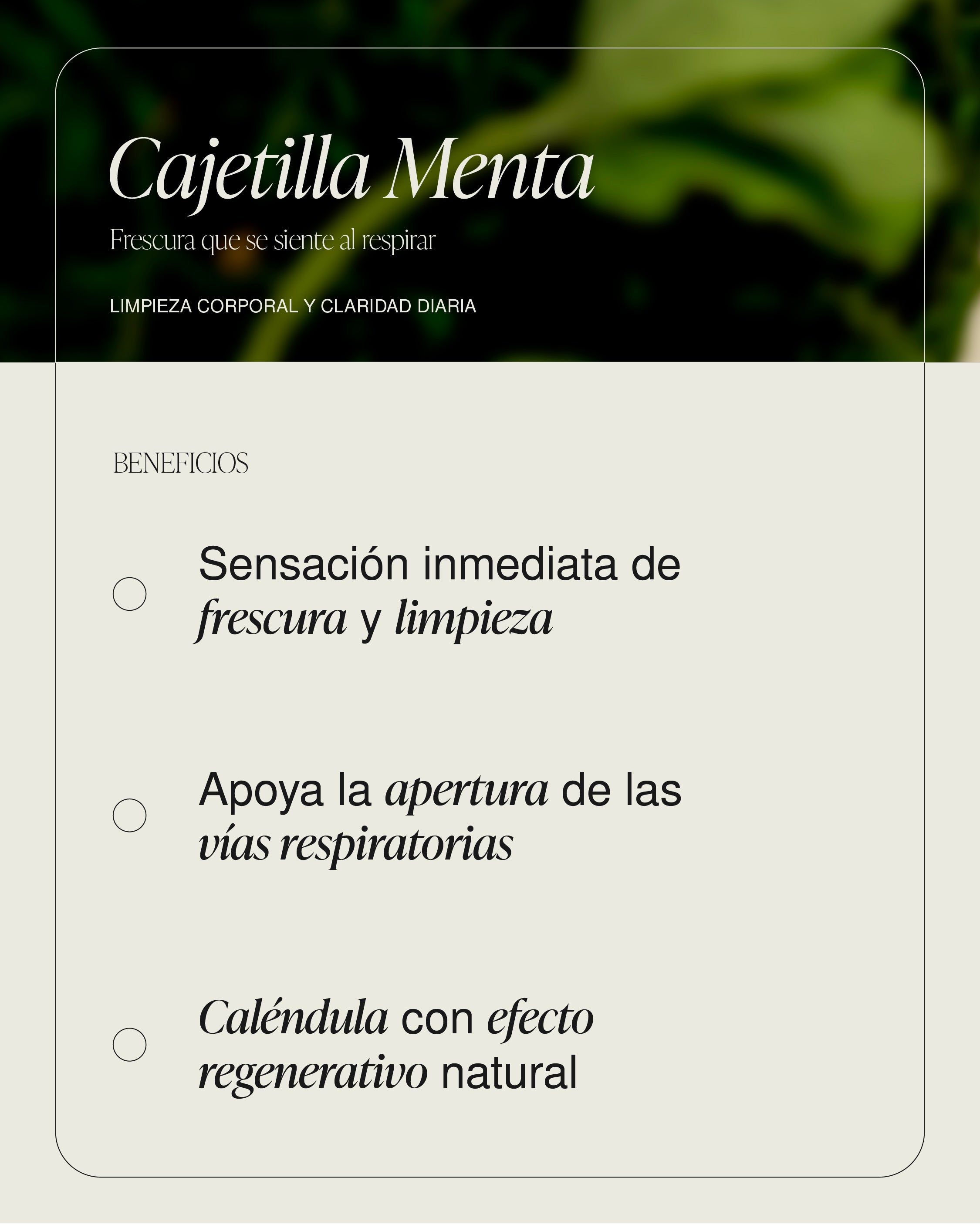 Cajetilla Menta