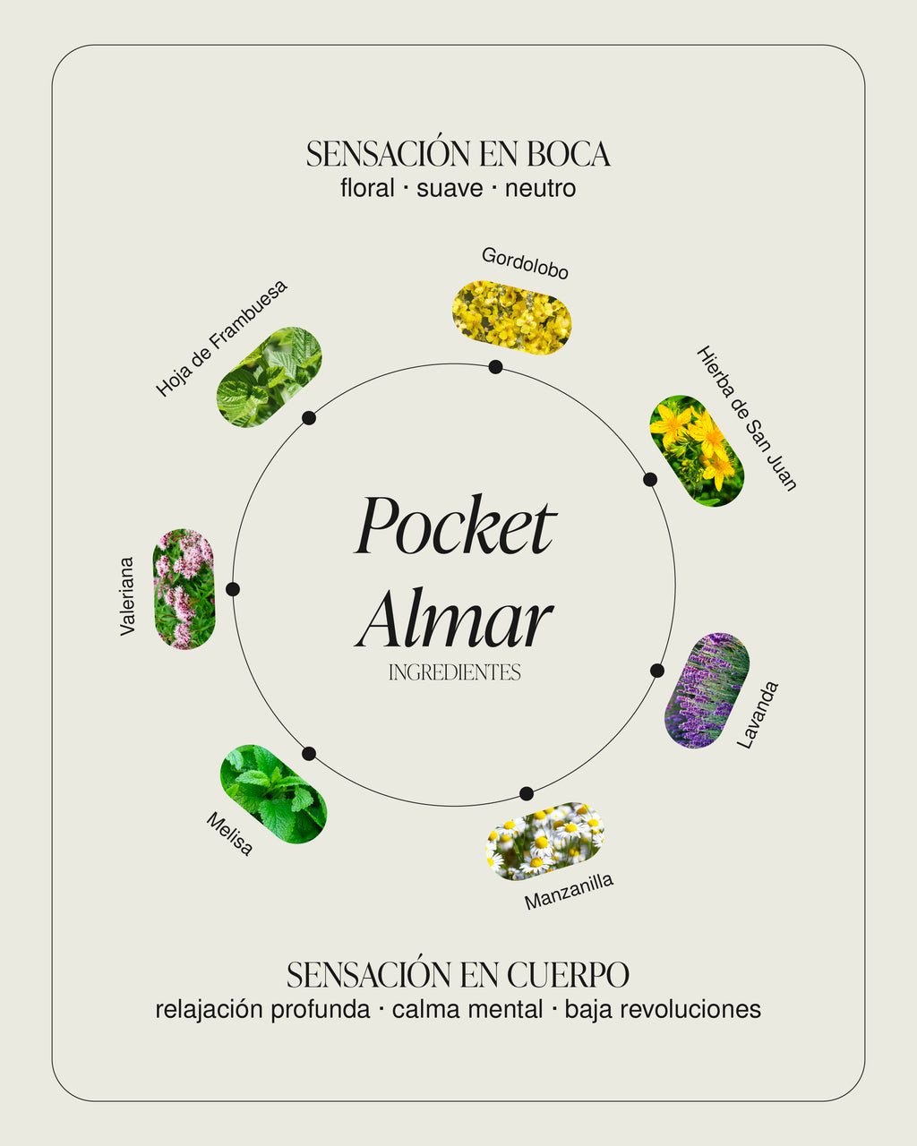 Pocket Almar