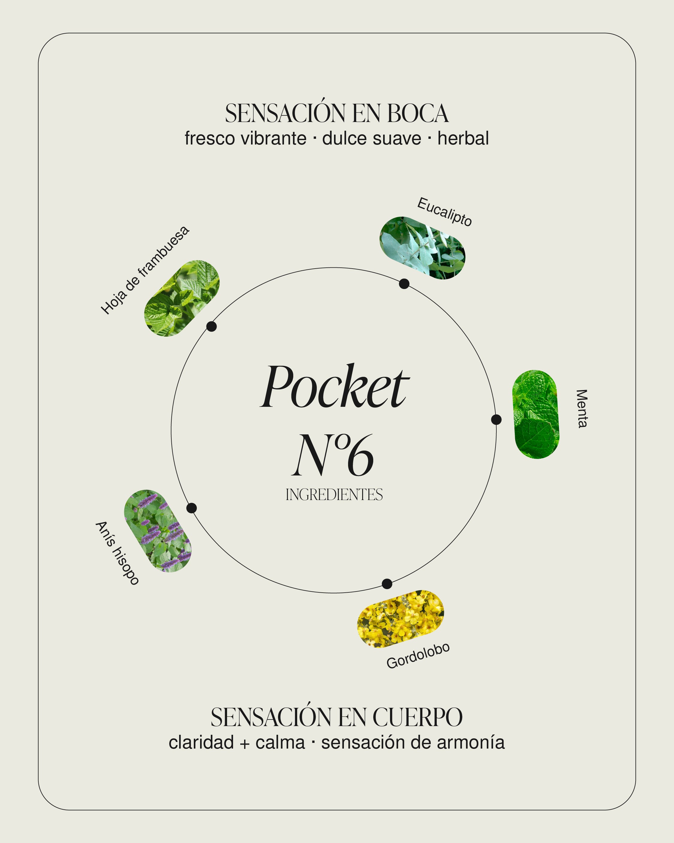 Pocket N°6