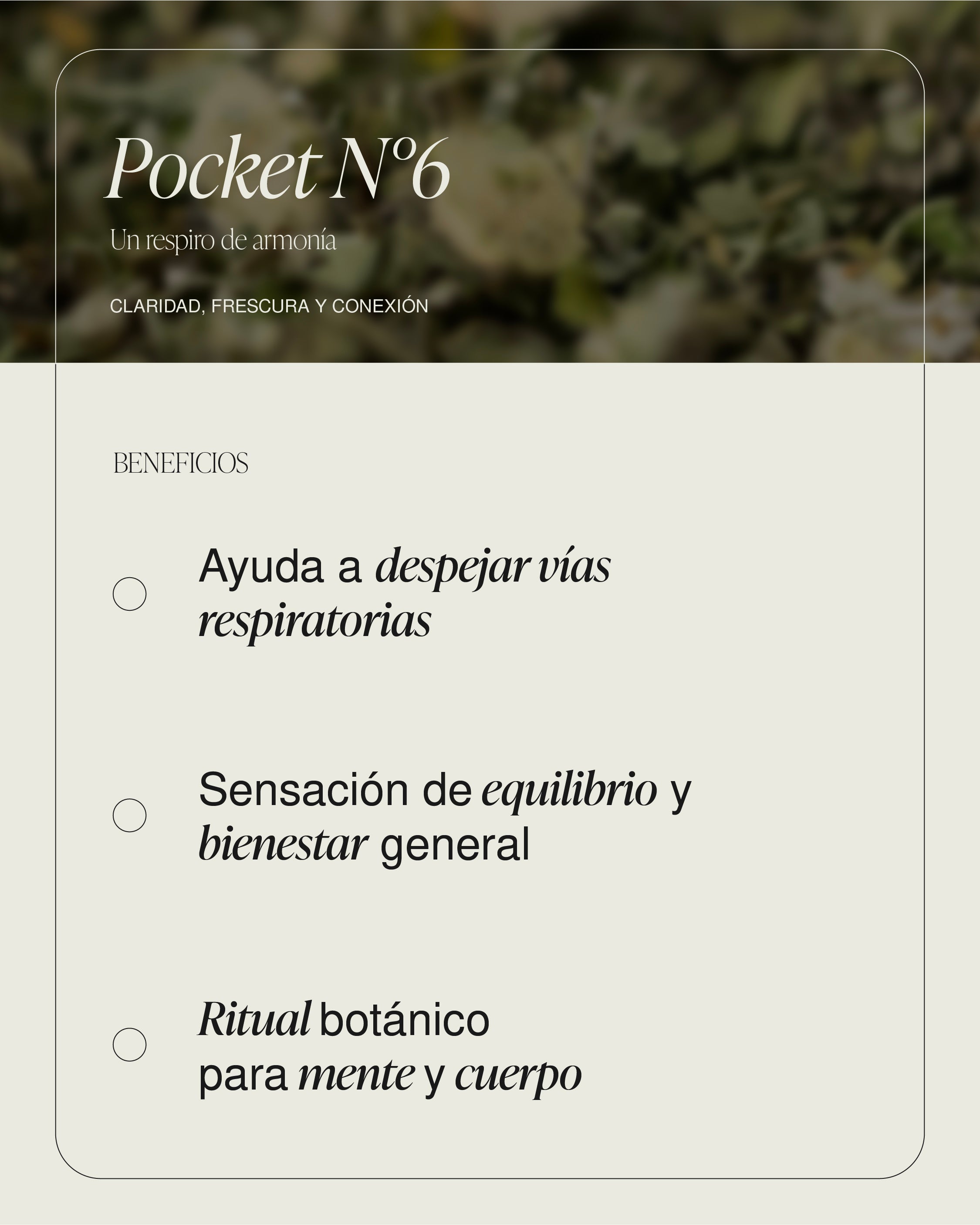 Pocket N°6