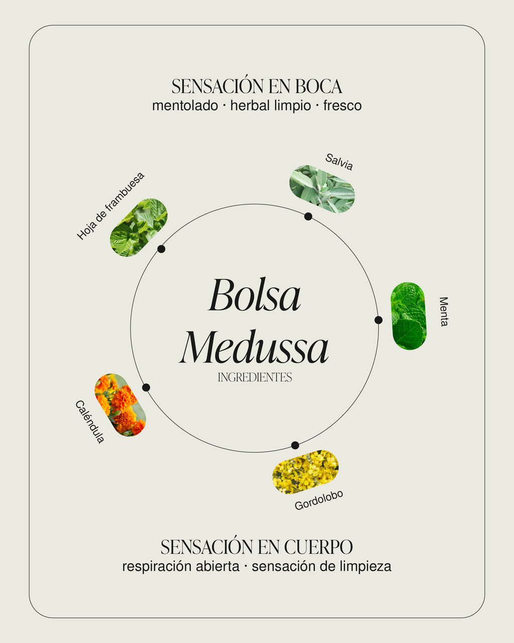 Bolsa Medussa
