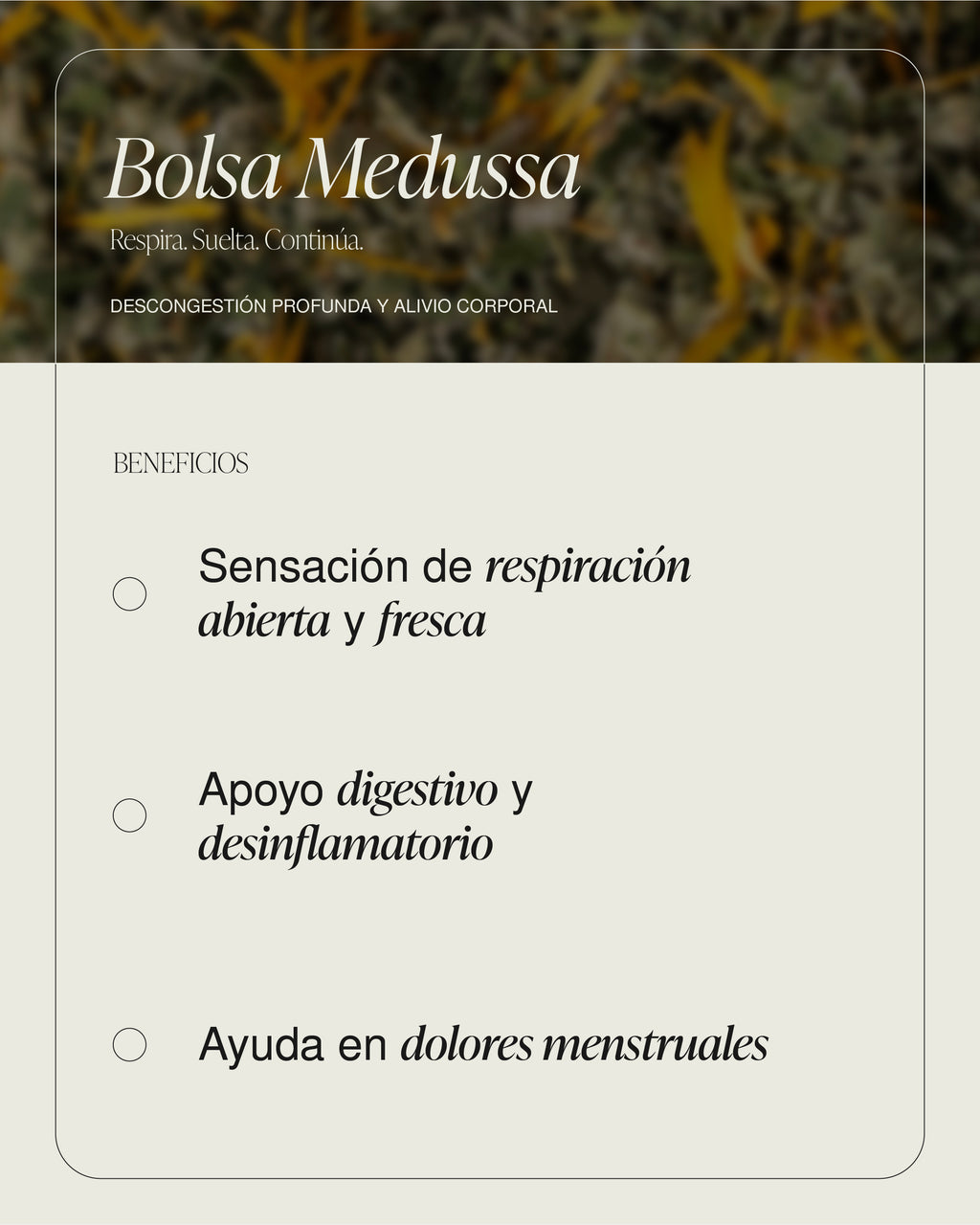 Bolsa Medussa