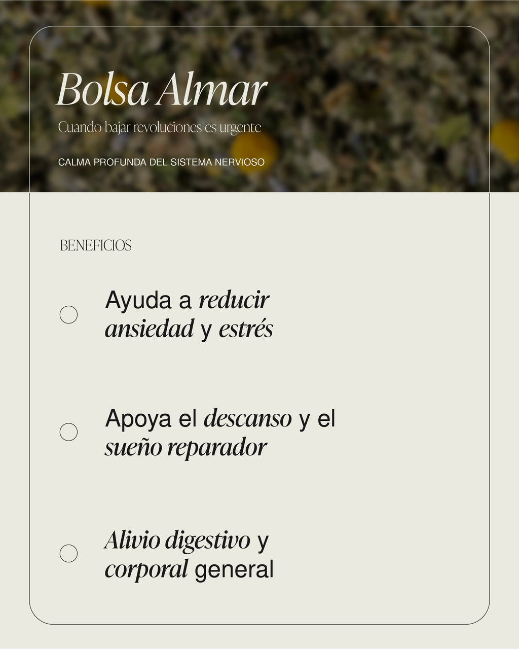 Bolsa Almar