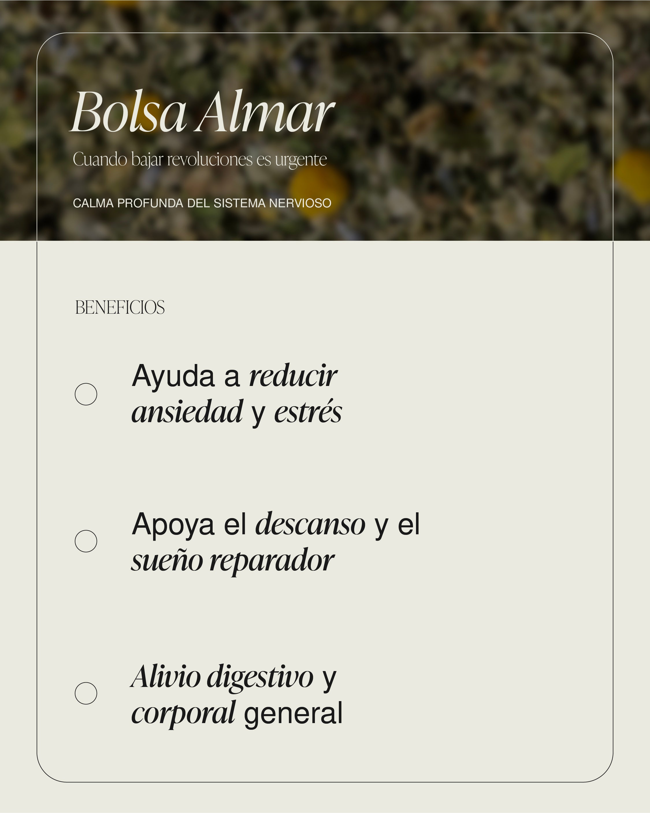 Bolsa Almar