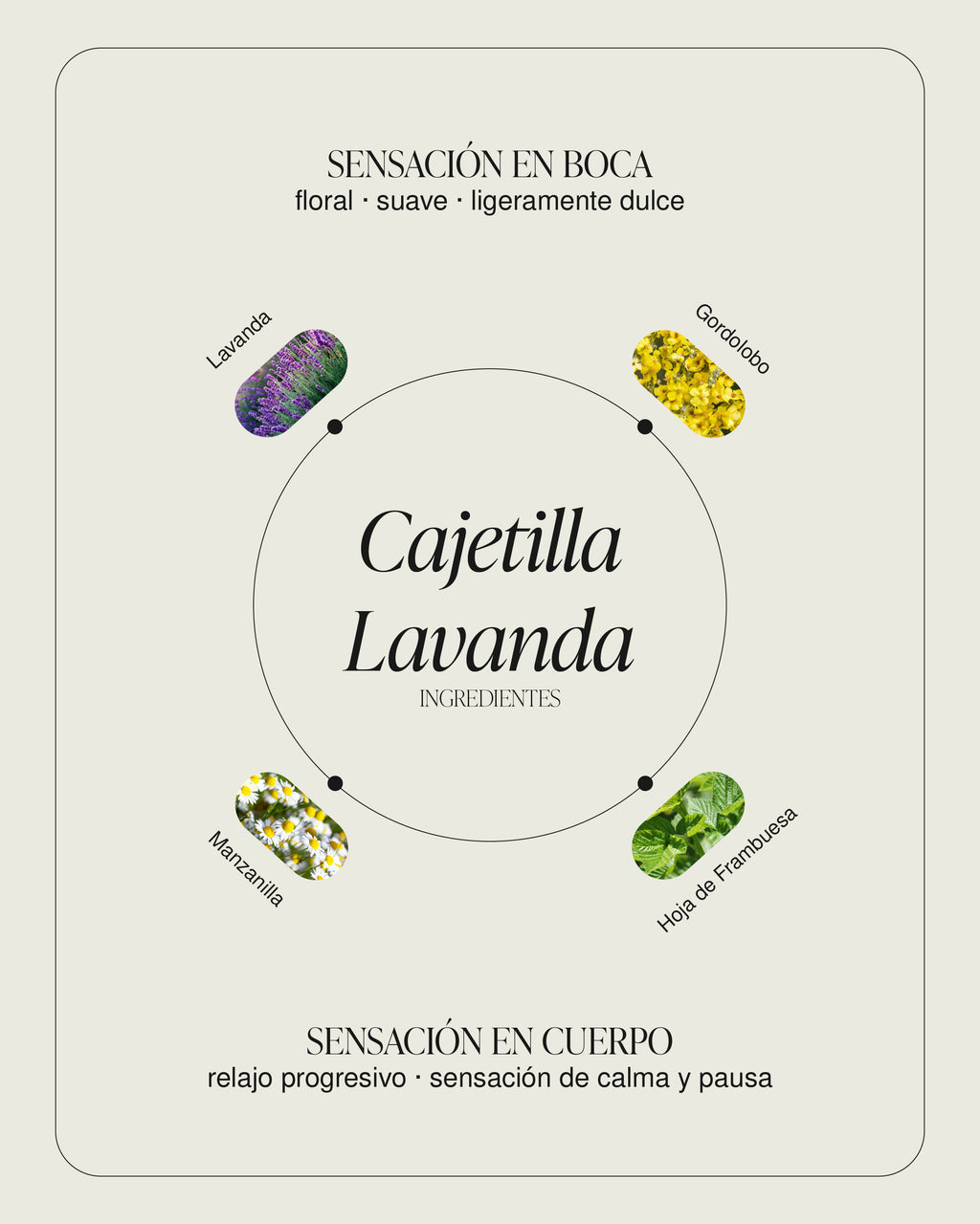 Cajetilla Lavanda