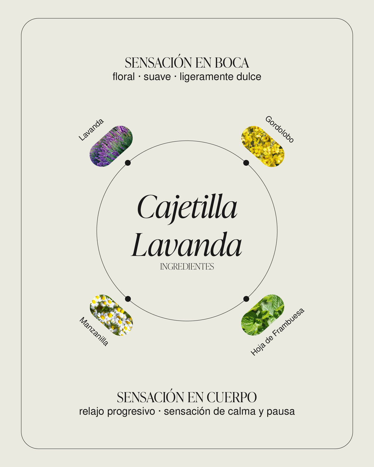 Cajetilla Lavanda