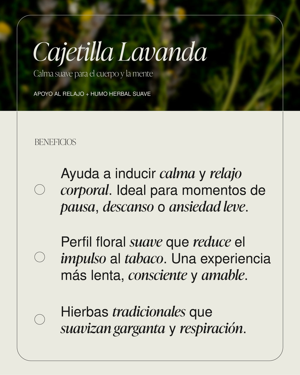 Cajetilla Lavanda
